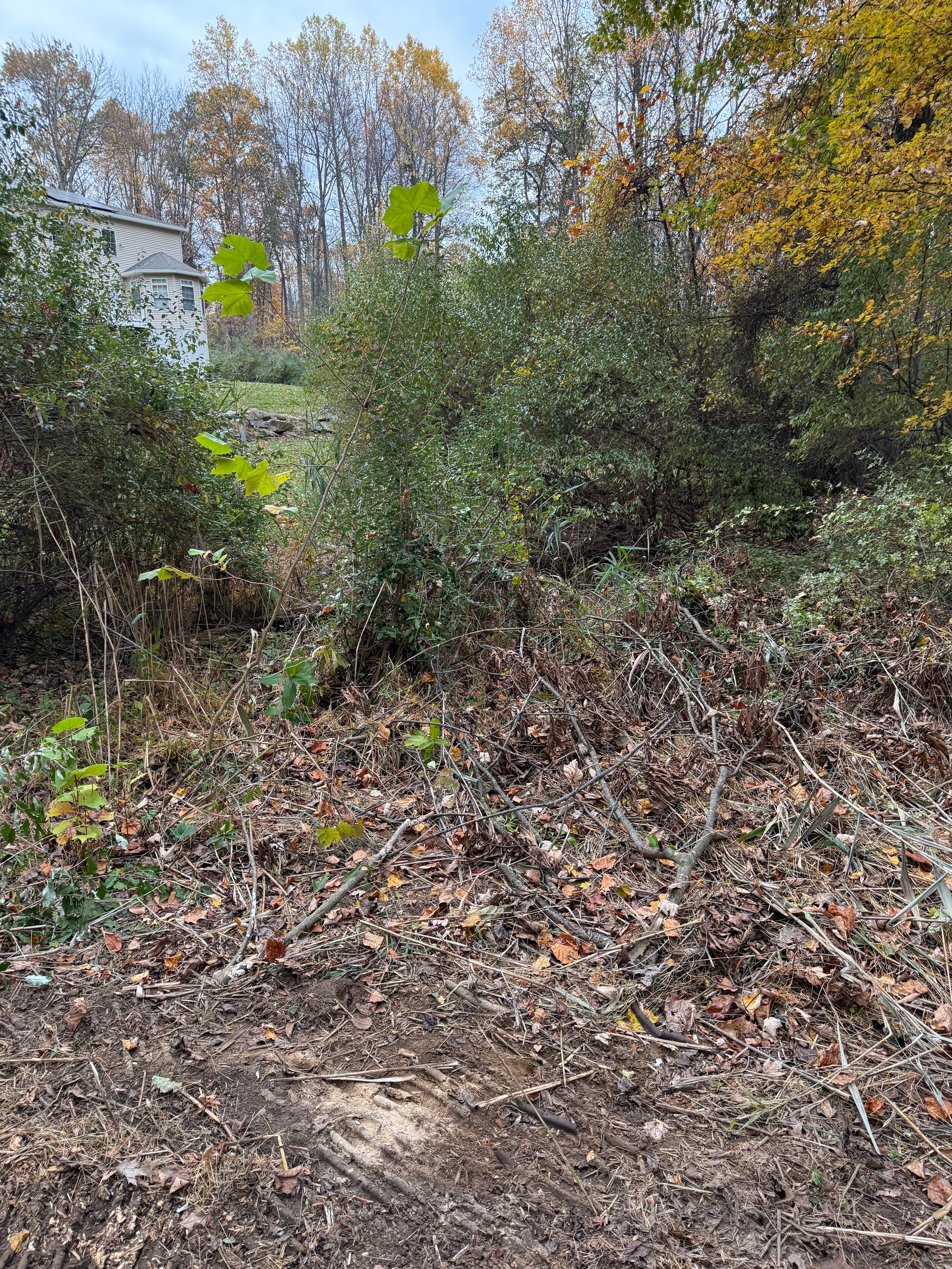 BSAN Excavation project 10 — excavation and land clearing work in NJ