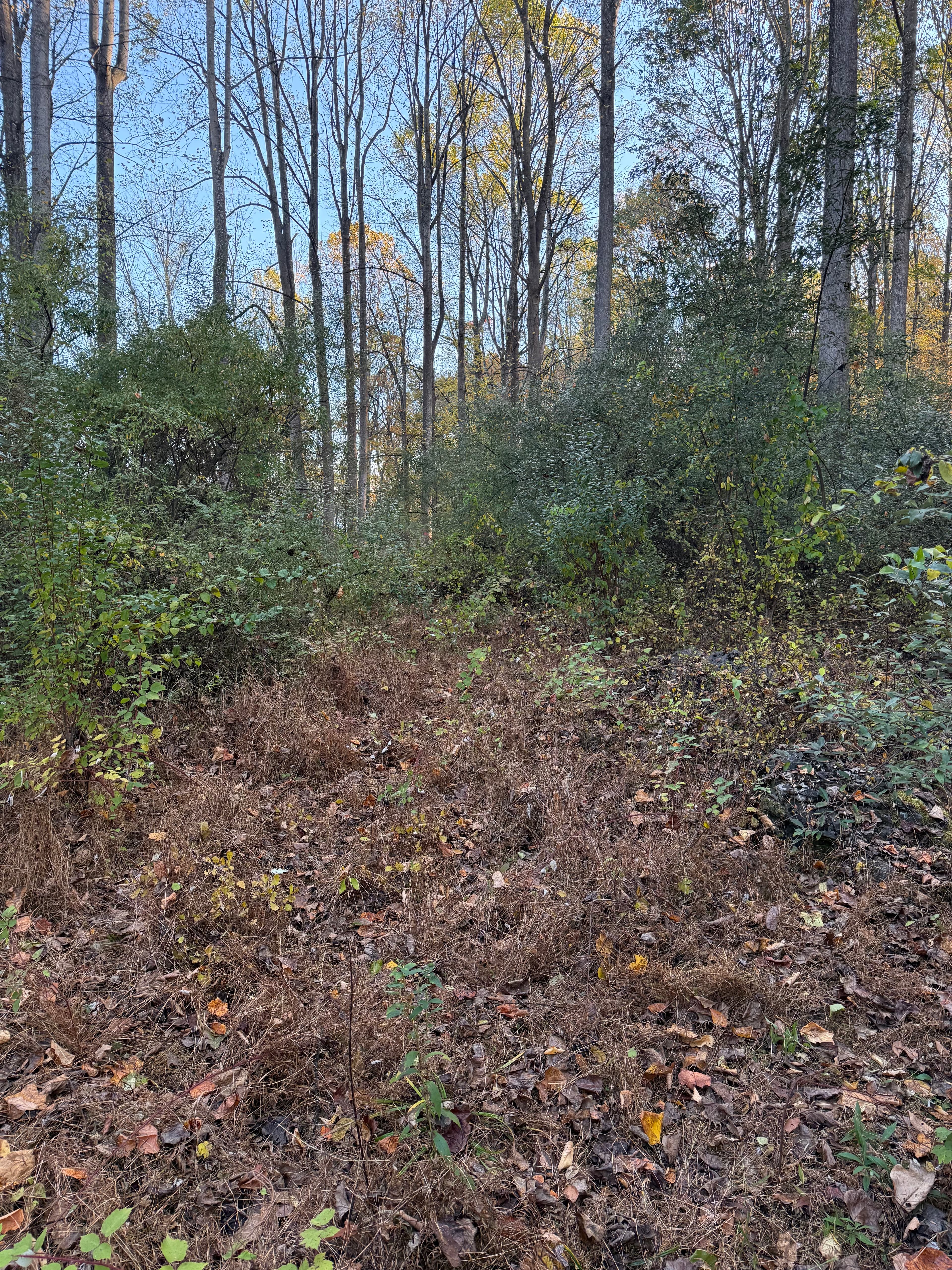 BSAN Excavation project 4 — excavation and land clearing work in NJ