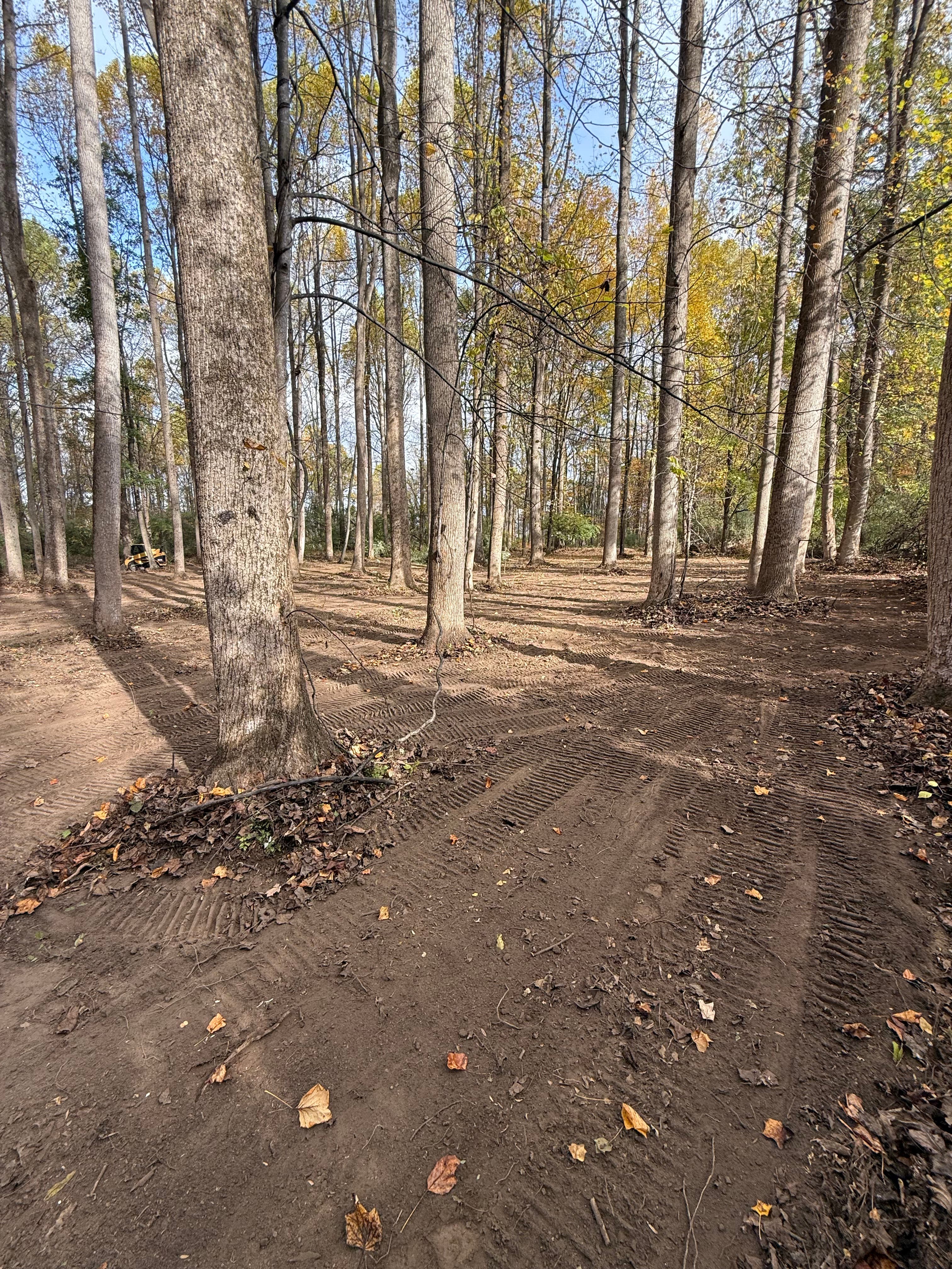 BSAN Excavation project 6 — excavation and land clearing work in NJ