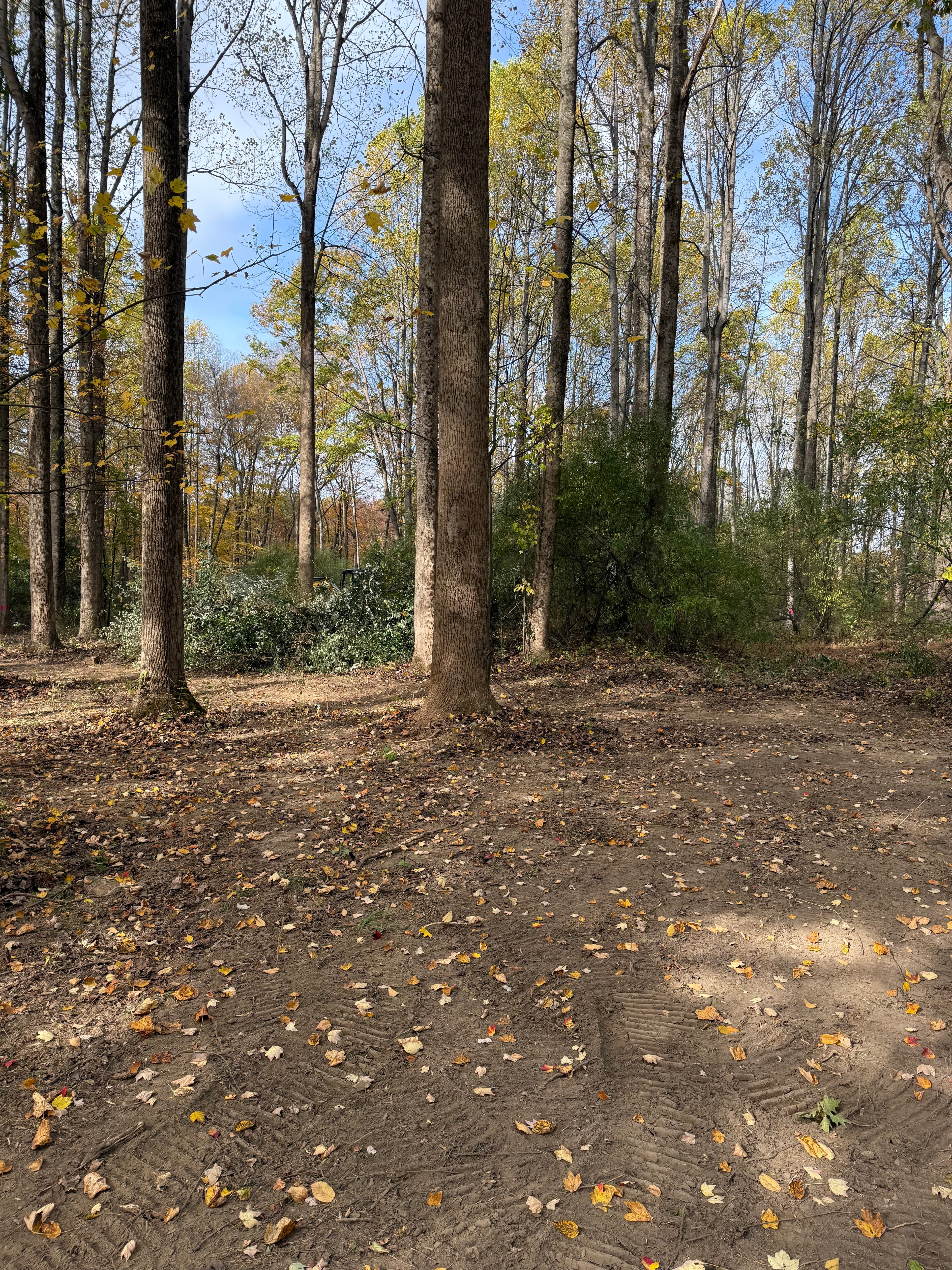 BSAN Excavation project 7 — excavation and land clearing work in NJ