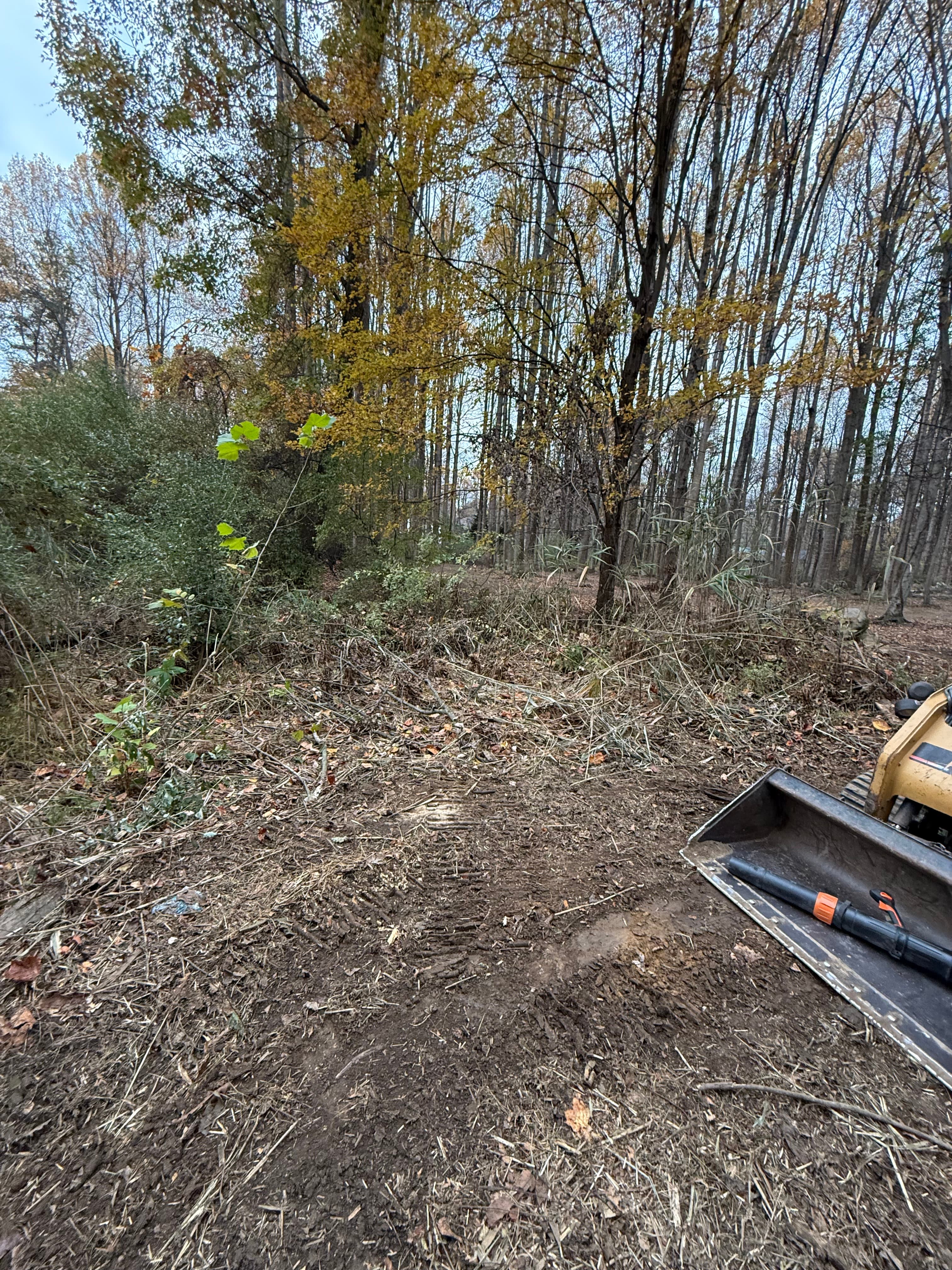 BSAN Excavation project 9 — excavation and land clearing work in NJ